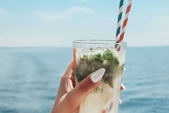 Cocktail mojito sorties en mer à la Grande Motte Catamaran Lucile